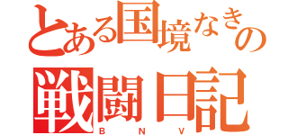 とある国境なき自警団の戦闘日記（Ｂ　　　　Ｎ　　　　Ｖ）