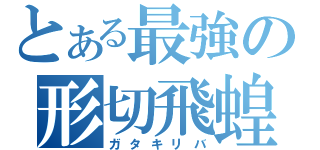 とある最強の形切飛蝗（ガタキリバ）