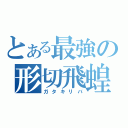 とある最強の形切飛蝗（ガタキリバ）