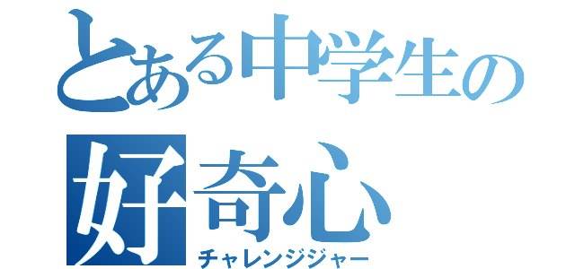 とある中学生の好奇心（チャレンジジャー）