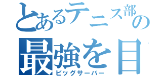 とあるテニス部の最強を目指す（ビッグサーバー）