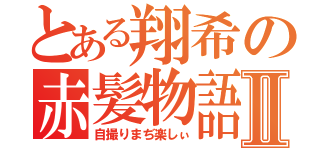 とある翔希の赤髪物語Ⅱ（自撮りまぢ楽しぃ）