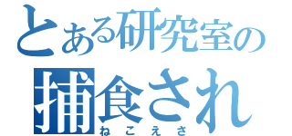 とある研究室の捕食されし者（ねこえさ）