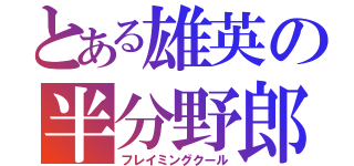 とある雄英の半分野郎（フレイミングクール）