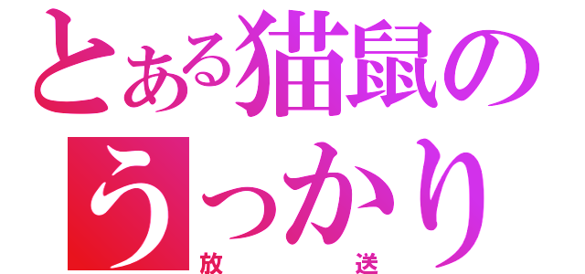 とある猫鼠のうっかり（放送）