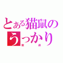 とある猫鼠のうっかり（放送）