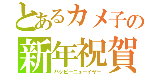 とあるカメ子の新年祝賀（ハッピーニューイヤー）