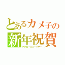 とあるカメ子の新年祝賀（ハッピーニューイヤー）