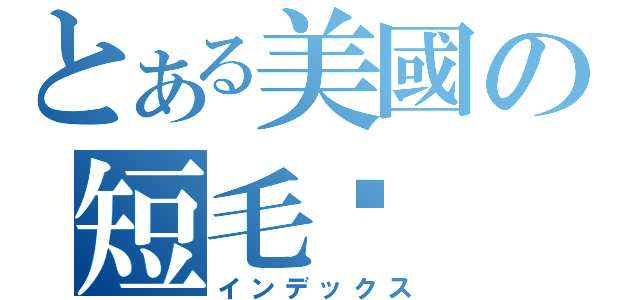 とある美國の短毛貓（インデックス）