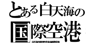 とある白天海の国際空港（白天海市静神町吹金造国際空港）