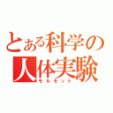 とある科学の人体実験（モルモット）