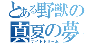 とある野獣の真夏の夢（ナイトドリーム）