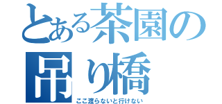 とある茶園の吊り橋（ここ渡らないと行けない）