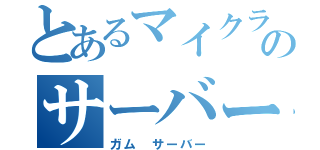 とあるマイクラのサーバー（ガム サーバー）