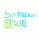 とある幸福木の陽気兎（カドゥルス）