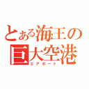 とある海王の巨大空港（エアポート）