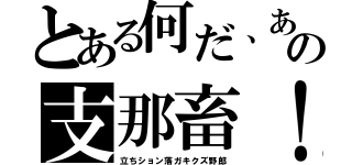 とある何だ、あの支那畜！（立ちション落ガキクズ野郎）