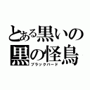 とある黒いの黒の怪鳥（ブラックバード）