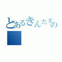 とあるきんたまの（）