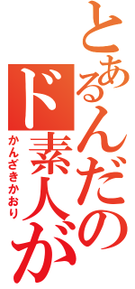 とあるんだのド素人が（かんざきかおり）