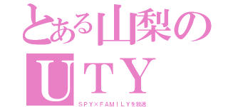 とある山梨のＵＴＹ（ＳＰＹ×ＦＡＭＩＬＹを放送）