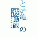 とある亀の波動砲（カメハメ波）