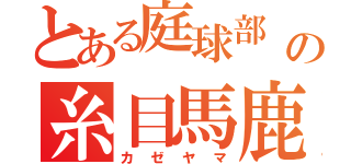 とある庭球部  の糸目馬鹿（カゼヤマ）