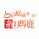 とある庭球部  の糸目馬鹿（カゼヤマ）