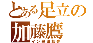 とある足立の加藤鷹（イン豊田彰弥）