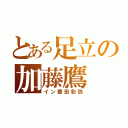 とある足立の加藤鷹（イン豊田彰弥）