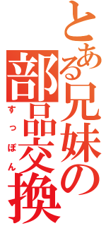 とある兄妹の部品交換（すっぽん）