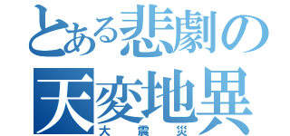 とある悲劇の天変地異（大震災）