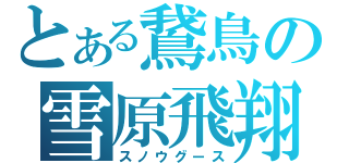 とある鵞鳥の雪原飛翔（スノウグース）