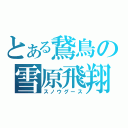 とある鵞鳥の雪原飛翔（スノウグース）