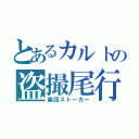 とあるカルトの盗撮尾行（集団ストーカー）