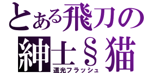 とある飛刀の紳士§猫（道光フラッシュ）