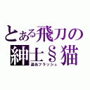 とある飛刀の紳士§猫（道光フラッシュ）