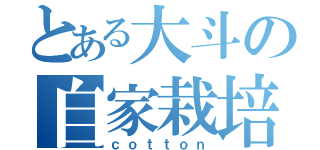 とある大斗の自家栽培（ｃｏｔｔｏｎ）