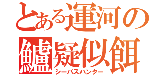 とある運河の鱸疑似餌釣（シーバスハンター）