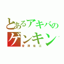 とあるアキバのゲンキング（宮澤佐江）