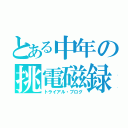 とある中年の挑電磁録（トライアル・ブログ）