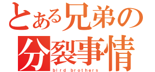 とある兄弟の分裂事情（ｂｉｒｄ ｂｒｏｔｈｅｒｓ）