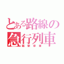 とある路線の急行列車（隔駅停車）