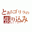 とあるゴリラの張り込み（ストーカー）