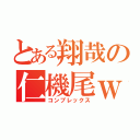 とある翔哉の仁機尾ｗ（コンプレックス）