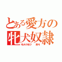 とある愛方の牝犬奴隷（牝犬の悦び  真弓）