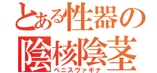 とある性器の陰核陰茎（ペニスヴァギナ）