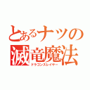 とあるナツの滅竜魔法（ドラゴンスレイヤー）