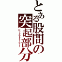 とある股間の突起部分（ビッグマグナムゥ！）