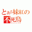 とある妹紅の不死鳥（フェニックス）